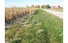 Property photo 3 - 65+/- Acres Offered in 2 Tracts